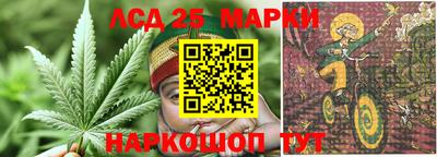 Альфа ПВП Малгобек