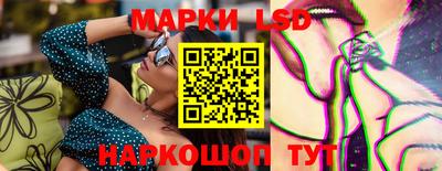 Альфа ПВП Малгобек