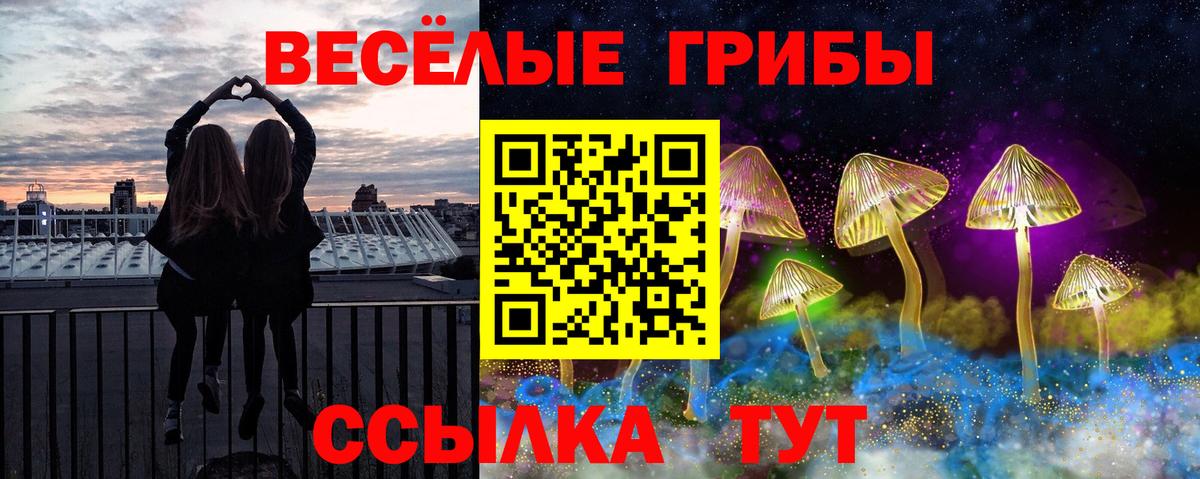 Ступино  Галлюциногенные грибы Psilocybine cubensis  Вход с VPN 